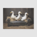 Search for duck tissue paper Country