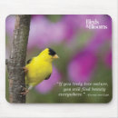 Search for bird quotes mouse mats Birding