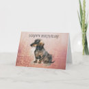 Search for sausage dog cards Dogs