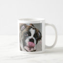 Search for dog licks mugs Cute