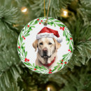 Search for yellow lab christmas tree decorations Labrador retriever