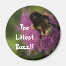 Search for buzzing magnets Nature