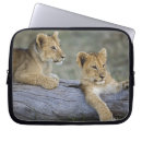 Search for log cases Cub