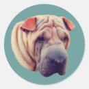 Search for shar pei stickers Animal