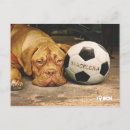 Search for futboll postcards Ball