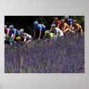 Search for tour posters Cyclist