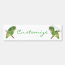 Search for parakeets bumper stickers Parrot