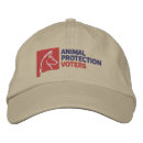 Search for protected hats Dog