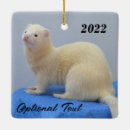 Search for ferret pets christmas tree decorations Weasel