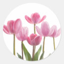 Search for tulip stickers Pink tulips