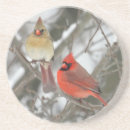 Search for cardinalis Feathers