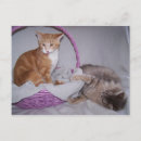 Search for awesome horizontal postcards Funny