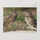 Search for threatening postcards Usa