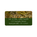 Search for green moss photography Water