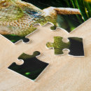 Search for insect puzzles Funny