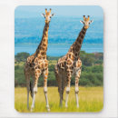 Search for uganda mouse mats Wildlife