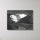 Search for black and white cow canvas prints Horizontal