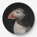 Search for puffin plates Wildlife