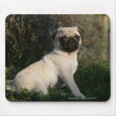 Search for mopping mouse mats Puppy