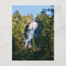 Search for squamish Nature