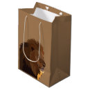 Search for lion gift bags Wildlife