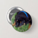 Search for pups badges Puppy