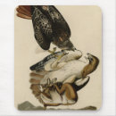 Search for tail mouse mats Illustration
