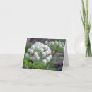 Search for pollinators cards Wildflower