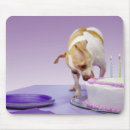Search for chihuahua mouse mats Purple
