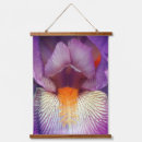 Search for irises photography Floral