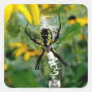 Search for white spider web stickers Creepy