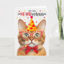 Search for ginger cat birthday cards Cats
