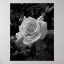 Search for wet posters Floral