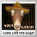 Search for lamancha Dairy