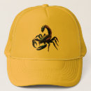 Search for scorpion hats Insect