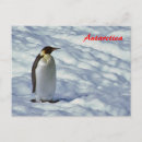 Search for antarctica postcards Ice