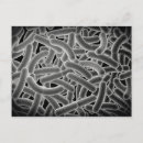 Search for microbes postcards Biomedical illustrations