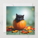 Search for kitten pumpkin invitations Fall