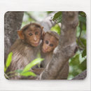 Search for bonding mouse mats Outdoors