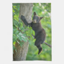 Search for black bear tea towels Forest