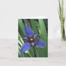 Search for iris note cards Nature