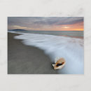 Search for dawn sky postcards Sunlight