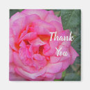 Search for rose bloom magnets Thank you