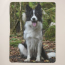 Search for border collie blankets Canine