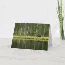 Search for brown bear cards Woods