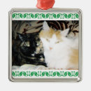 Search for tortie cat christmas tree decorations Cats