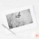 Search for white butterfly stickers Black and white