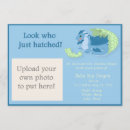 Search for hatchling Hatching