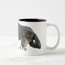 Search for dachshund puppies mugs Dog