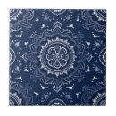 Search for indigo blue tiles Bathroom